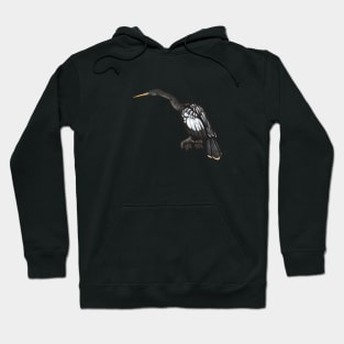 Anhinga Hoodie